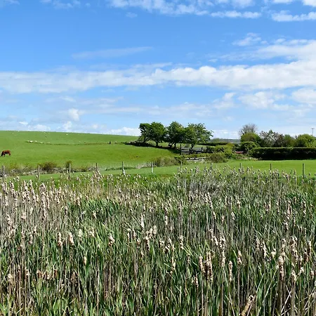 Ferienhaus Birch - Uk30006 *