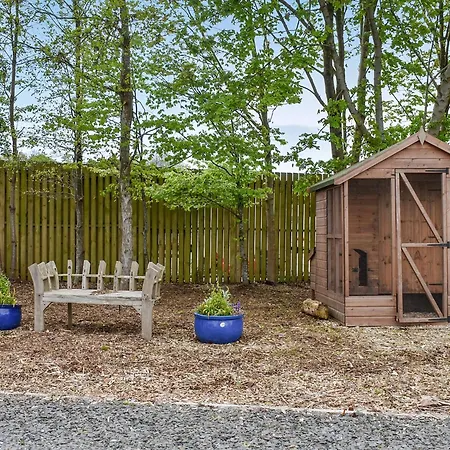 Birch - Uk30006 * Lindal in Furness