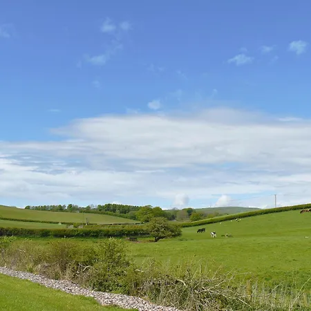 Tatil Evi Birch - Uk30006