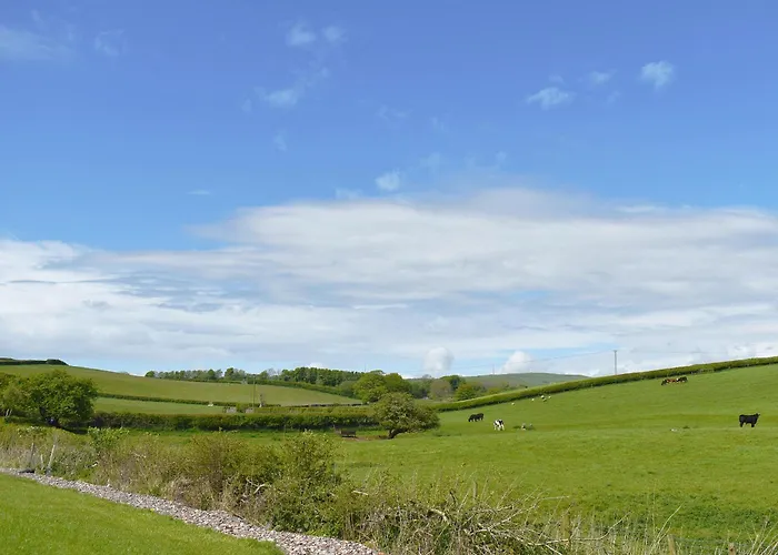 度假居 Birch - Uk30006