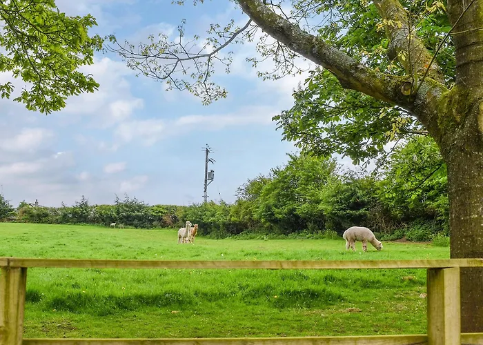 度假居 Birch - Uk30006 Lindal in Furness