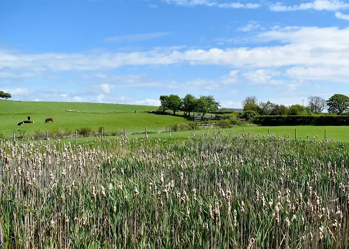 度假居 Birch - Uk30006 *